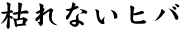 ͂Ȃqo
