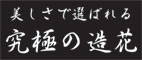 őI΂鋆ɂ̑
